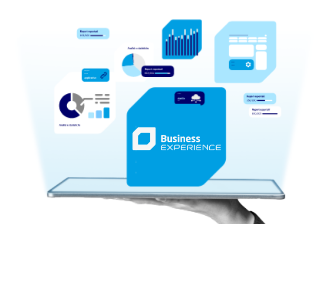 Business Experience - Gestionale ERP ERP Business Experience per migliorare gestione aziendale e controllo dati in tempo reale
